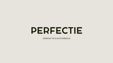 Perfectie  Gemaakt in Zijn evenbeeld