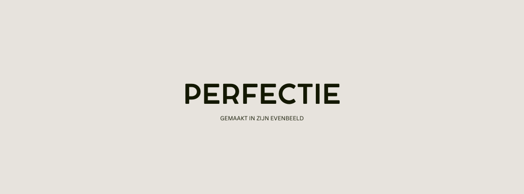 Perfectie Gemaakt in Zijn evenbeeld