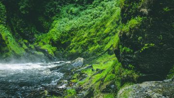 river-surrounded-with-mountain-stockpack-pexels God