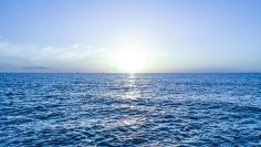 sea-and-sky-horizon-photo-stockpack-pexels