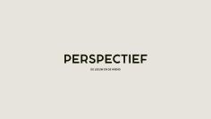 Perspectief